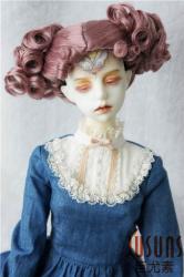 Lovely Two Pony Cute Synthetic Mohair Doll Wigs JD087